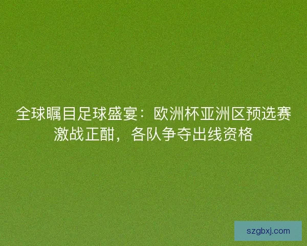 全球瞩目足球盛宴：欧洲杯亚洲区预选赛激战正酣，各队争夺出线资格
