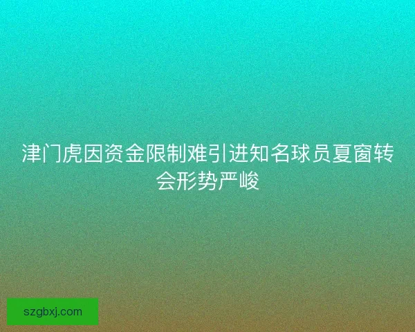 津门虎因资金限制难引进知名球员夏窗转会形势严峻