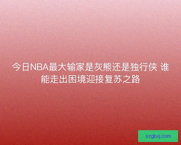 今日NBA最大输家是灰熊还是独行侠 谁能走出困境迎接复苏之路
