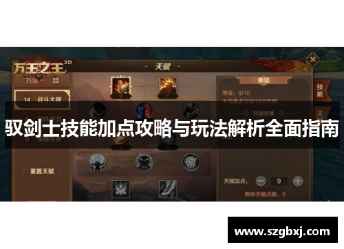 驭剑士技能加点攻略与玩法解析全面指南